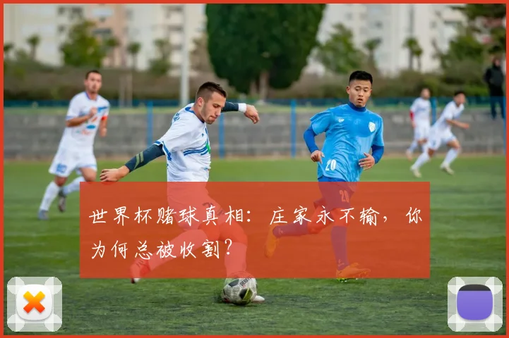 世界杯赌球真相：庄家永不输，你为何总被收割？