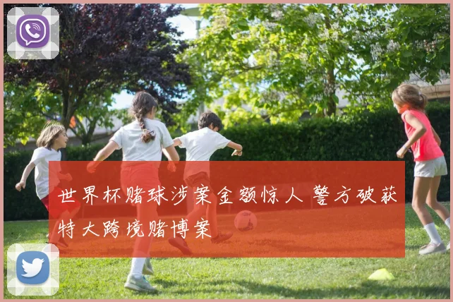 世界杯赌球涉案金额惊人 警方破获特大跨境赌博案