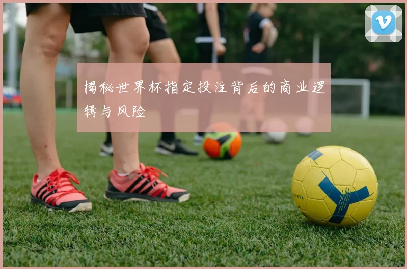 揭秘世界杯指定投注背后的商业逻辑与风险