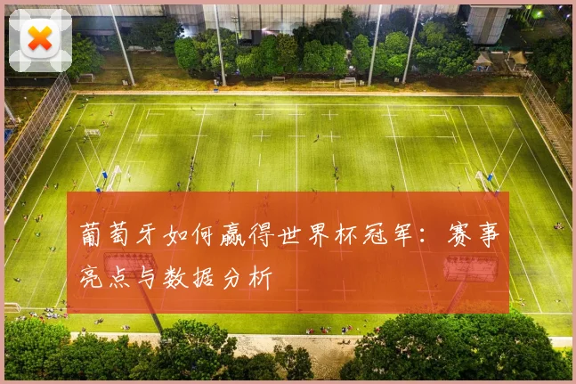 葡萄牙如何赢得世界杯冠军：赛事亮点与数据分析