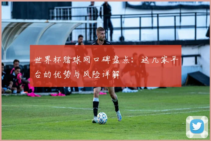 世界杯赌球网口碑盘点：这几家平台的优势与风险详解