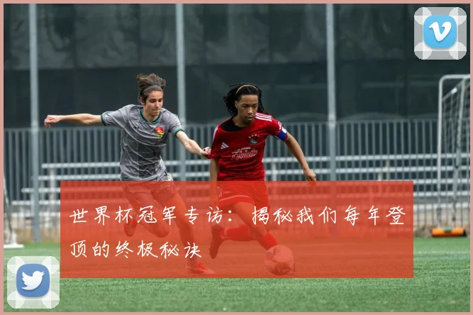 世界杯冠军专访:揭秘我们每年登顶的终极秘诀